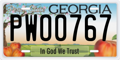 GA license plate PWO0767