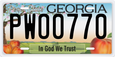 GA license plate PWO0770