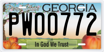 GA license plate PWO0772