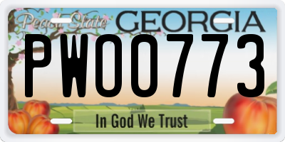GA license plate PWO0773