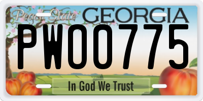 GA license plate PWO0775