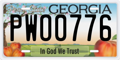 GA license plate PWO0776