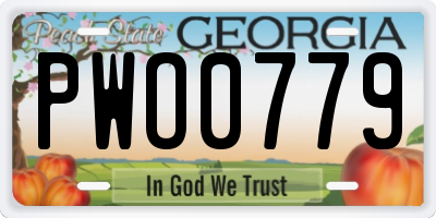 GA license plate PWO0779