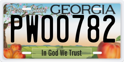 GA license plate PWO0782