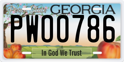GA license plate PWO0786