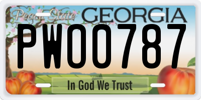 GA license plate PWO0787