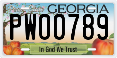 GA license plate PWO0789