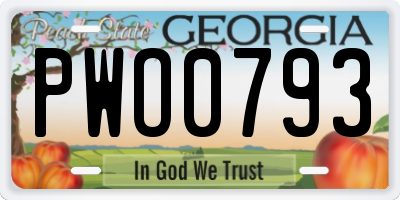 GA license plate PWO0793