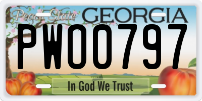 GA license plate PWO0797