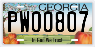 GA license plate PWO0807