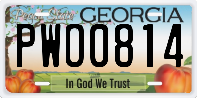 GA license plate PWO0814
