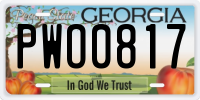 GA license plate PWO0817
