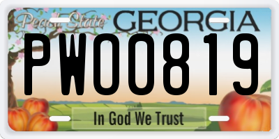 GA license plate PWO0819