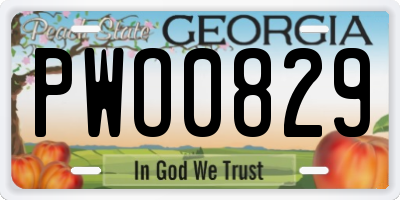 GA license plate PWO0829