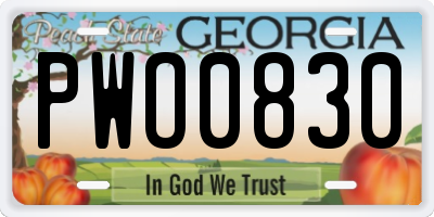 GA license plate PWO0830