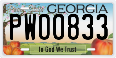 GA license plate PWO0833