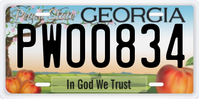 GA license plate PWO0834