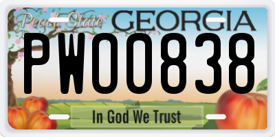 GA license plate PWO0838