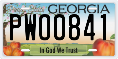 GA license plate PWO0841
