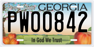 GA license plate PWO0842
