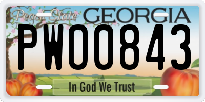 GA license plate PWO0843