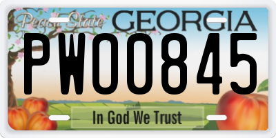 GA license plate PWO0845