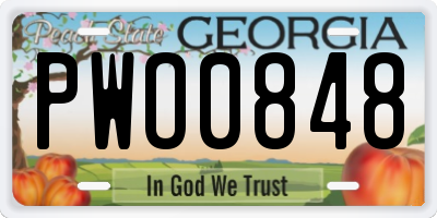 GA license plate PWO0848