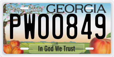 GA license plate PWO0849