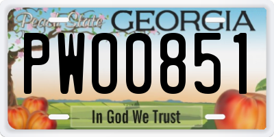 GA license plate PWO0851