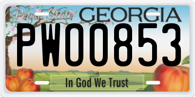 GA license plate PWO0853
