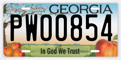 GA license plate PWO0854