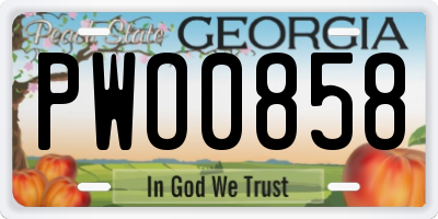 GA license plate PWO0858
