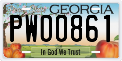 GA license plate PWO0861