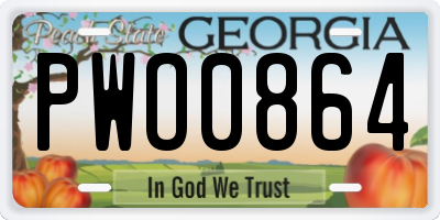 GA license plate PWO0864