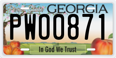 GA license plate PWO0871