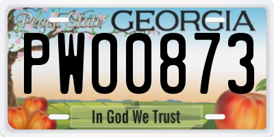 GA license plate PWO0873
