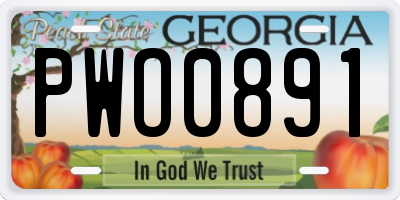 GA license plate PWO0891