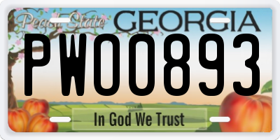 GA license plate PWO0893