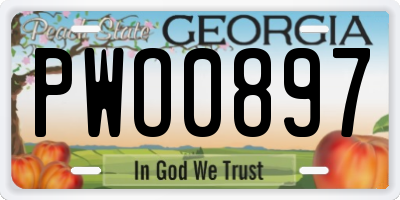 GA license plate PWO0897