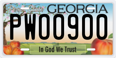 GA license plate PWO0900