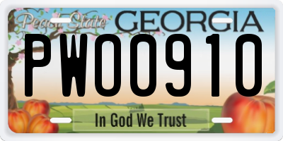 GA license plate PWO0910