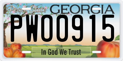 GA license plate PWO0915