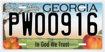 GA license plate PWO0916