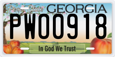 GA license plate PWO0918
