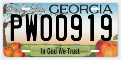 GA license plate PWO0919