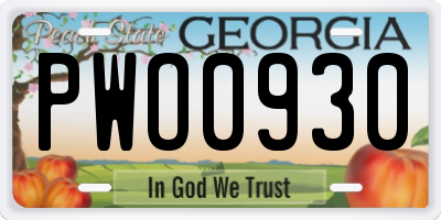 GA license plate PWO0930