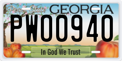 GA license plate PWO0940