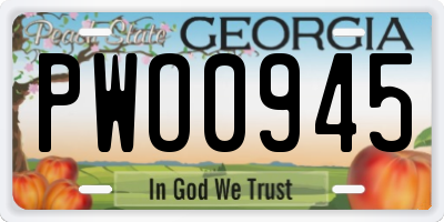 GA license plate PWO0945