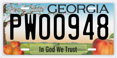 GA license plate PWO0948