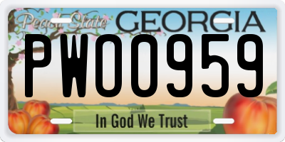 GA license plate PWO0959